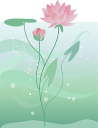 lotusflowers