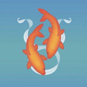 art-precious-fish-frnt